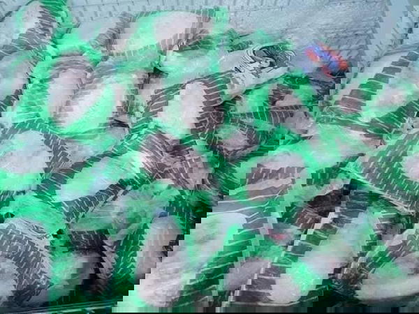 وراك بط العابد Image 3 Preview