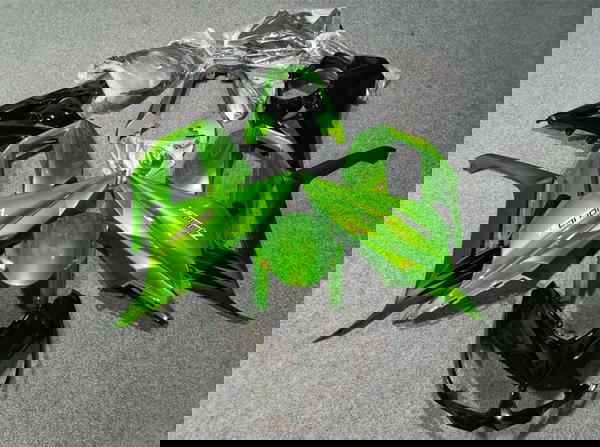 kawasaki ninja Z1000SX  Image 1 Preview