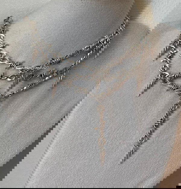 Barbed Elegance Image 1 Preview