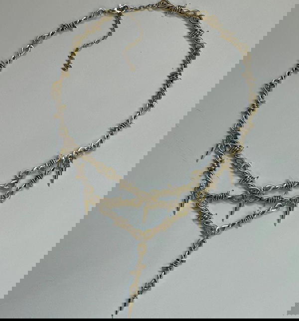 Barbed Elegance Image 2 Preview