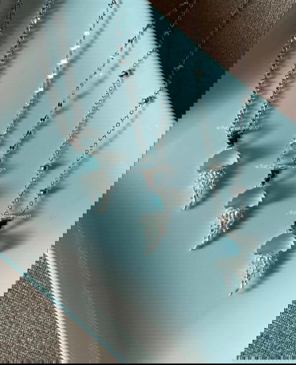 ستنالسJellyfish Image 1 Preview