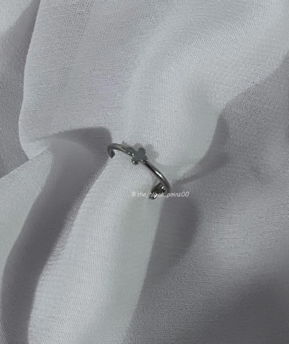 lip ring  Preview Image