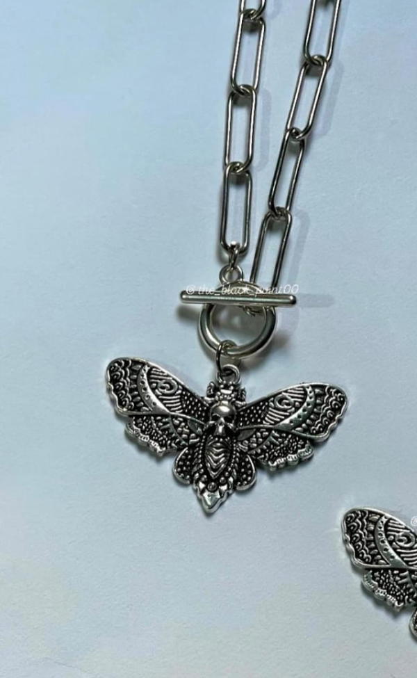 moth Image 2 Preview