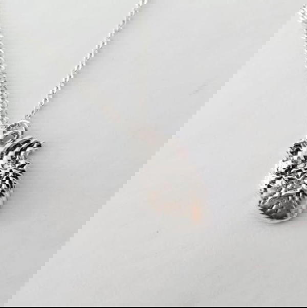 real heart 🫀 Image 2 Preview