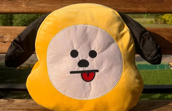 مخدات bt21 Image 2 Preview