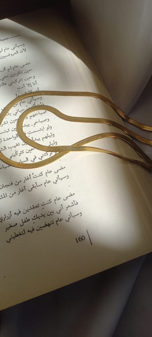 سلسله ظهر الحيه  Preview Image