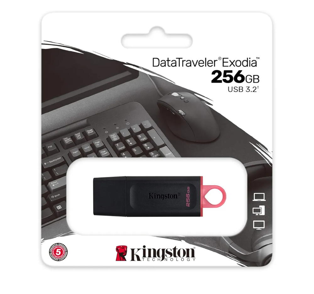 كينجستون ذاكرة فلاش اكسوديا 256GB USB 3.2 DTX/256GB Preview Image