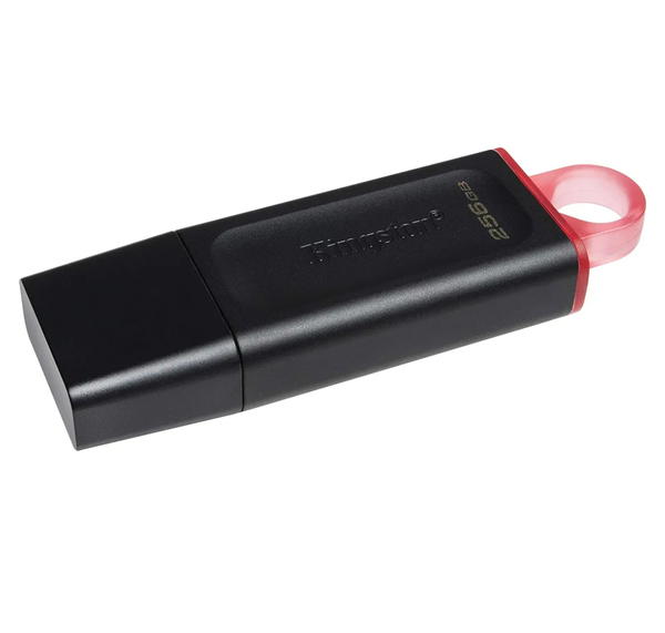كينجستون ذاكرة فلاش اكسوديا 256GB USB 3.2 DTX/256GB Image 2 Preview
