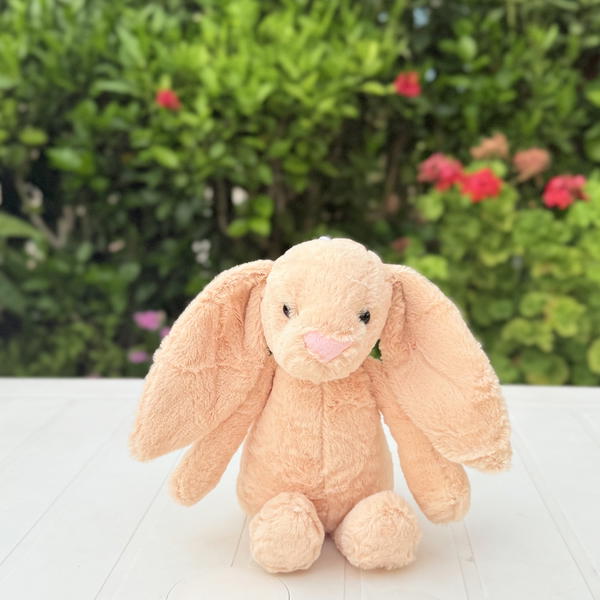 Cuddle bunny (like jelly cat) Image 2 Preview