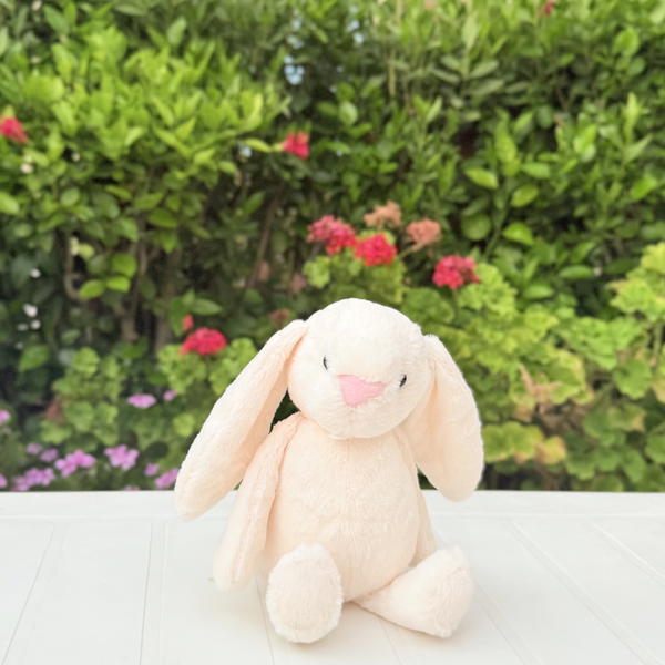Cuddle bunny (like jelly cat) Image 6 Preview
