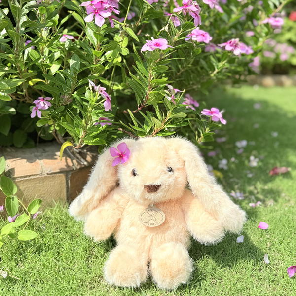 Fuzzy bunnies Image 2 Preview