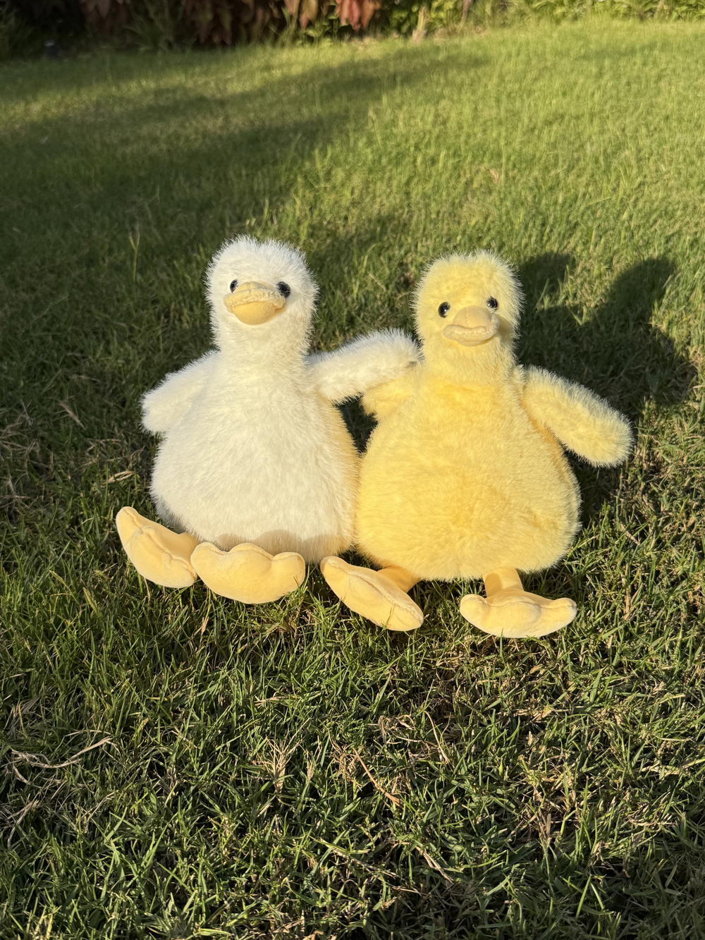 Fuzzy duckie friends  Preview Image