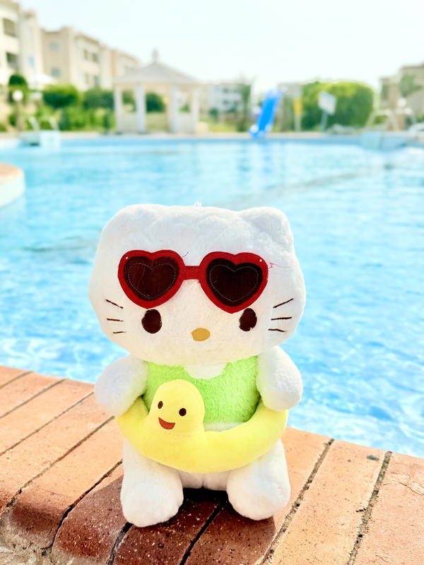Hello kitty with floatie Image 7 Preview