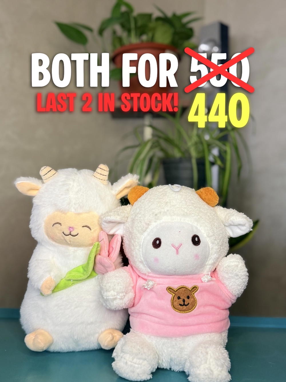 Offer! Preview Image