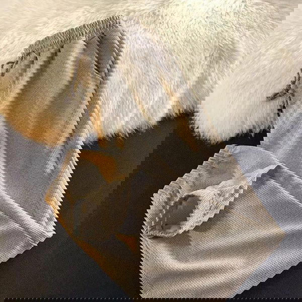 شروال بسكوتة  Image 2 Preview