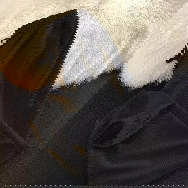 شروال بسكوتة  Image 3 Preview