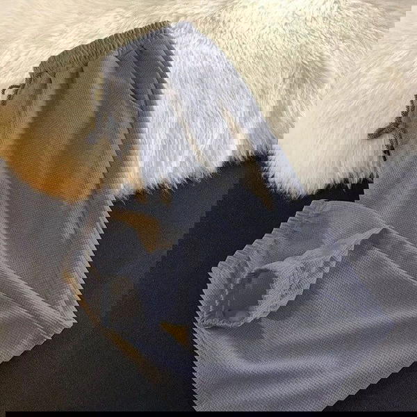 شروال بسكوتة  Image 4 Preview