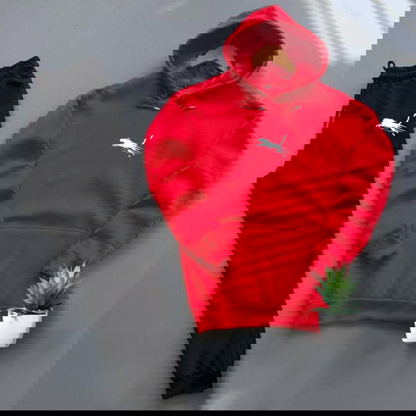 ترنج شتوي البومة Image 2 Preview