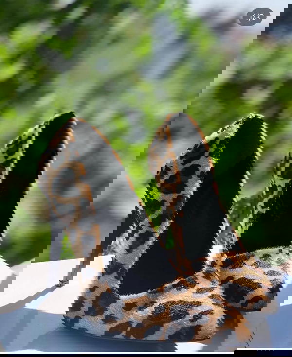 Leopard Print Shoes Image 4 Preview