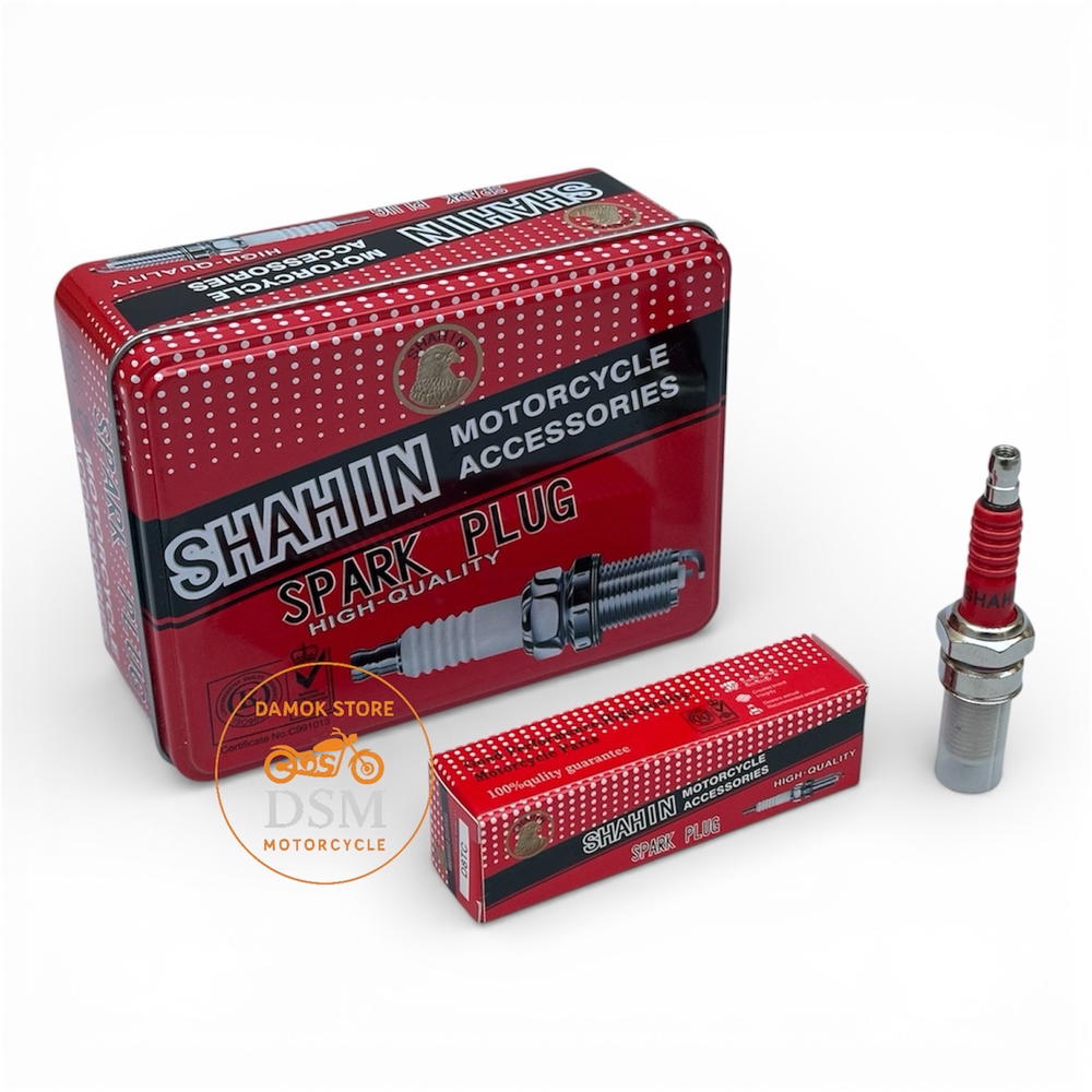 بلك ستوته + فورزا عادي Preview Image