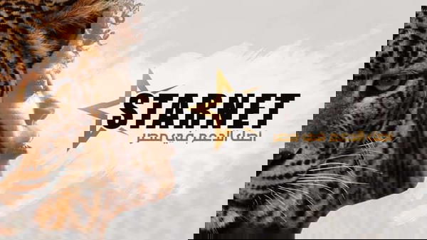 DAWOOD_SAT_STARNET  Logo