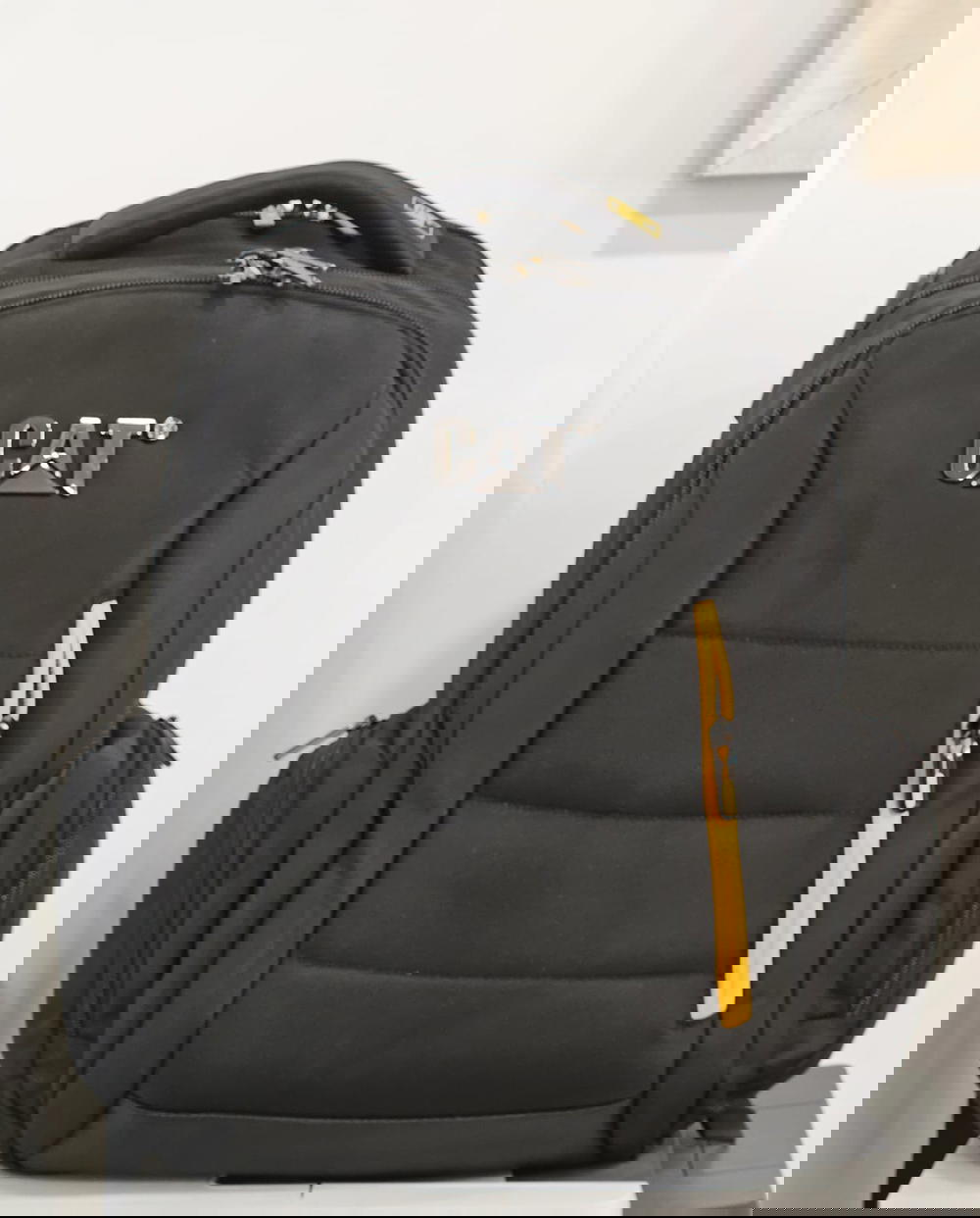 Cat backpack  Preview Image