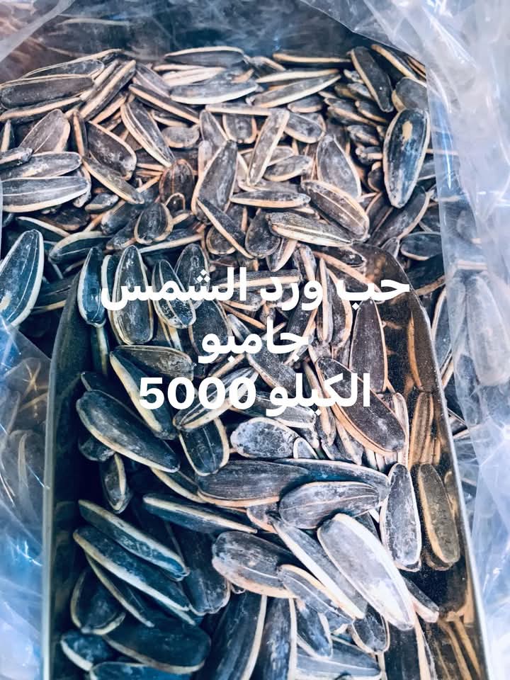 حب السلطان مملح Preview Image