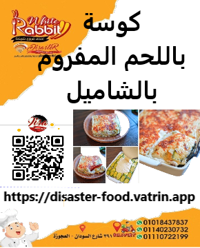 كوسة بالشاميل واللحم المفروم Image 1 Preview