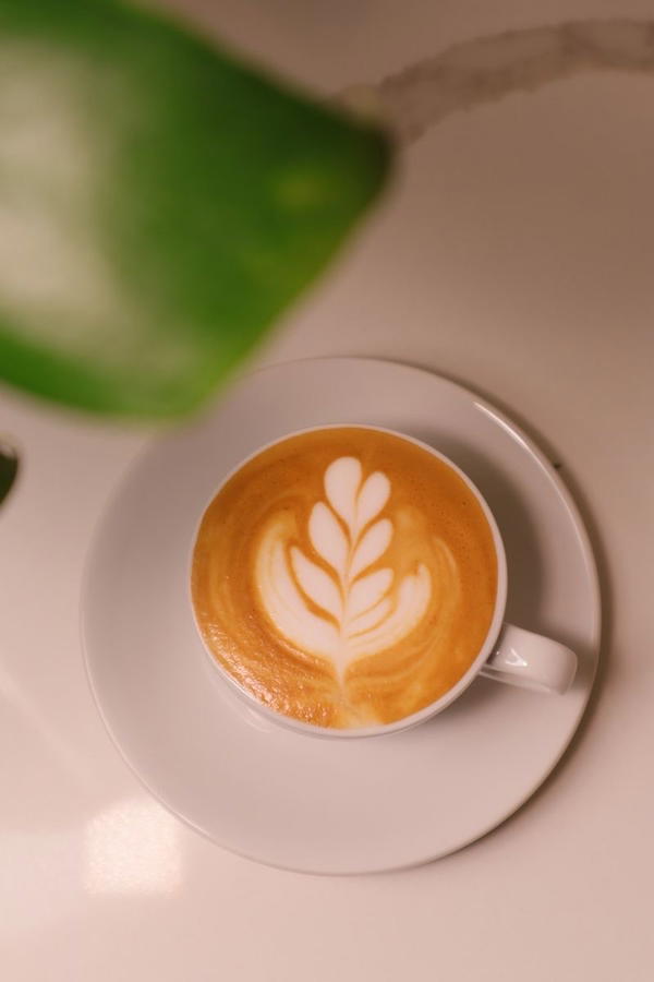فلات وايت Image 1 Preview