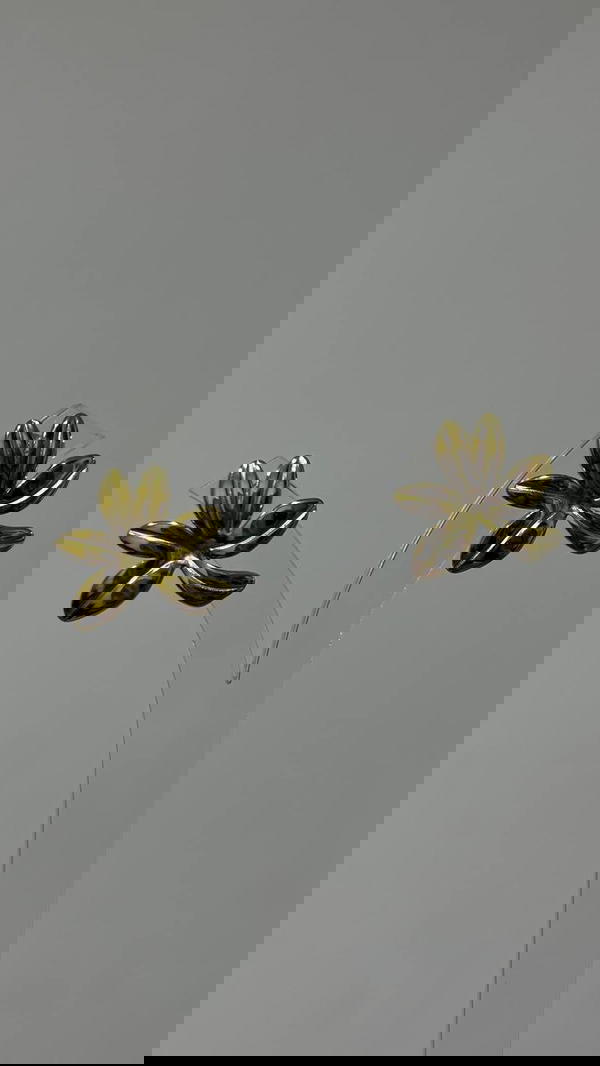 حلق Image 1 Preview