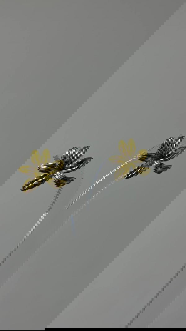 حلق Image 2 Preview