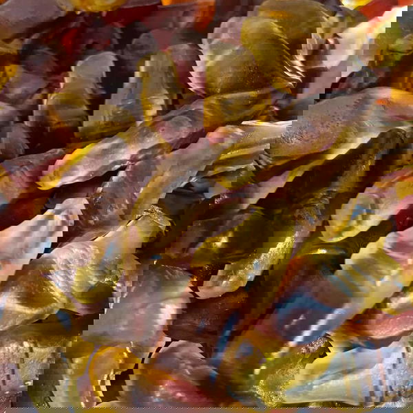 كاندى جلى كولا مينى Image 1 Preview