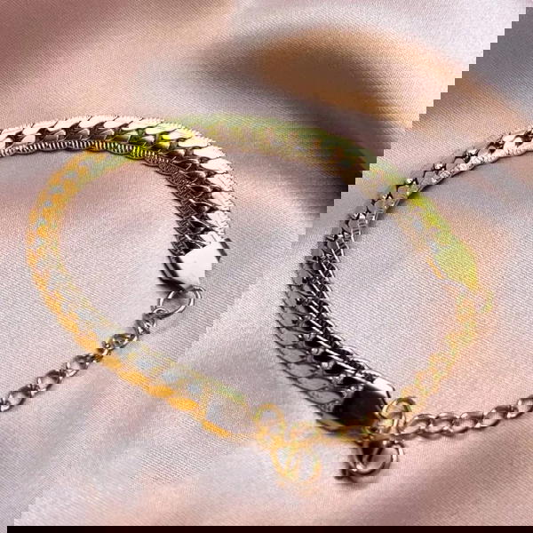 انسيال  Image 2 Preview