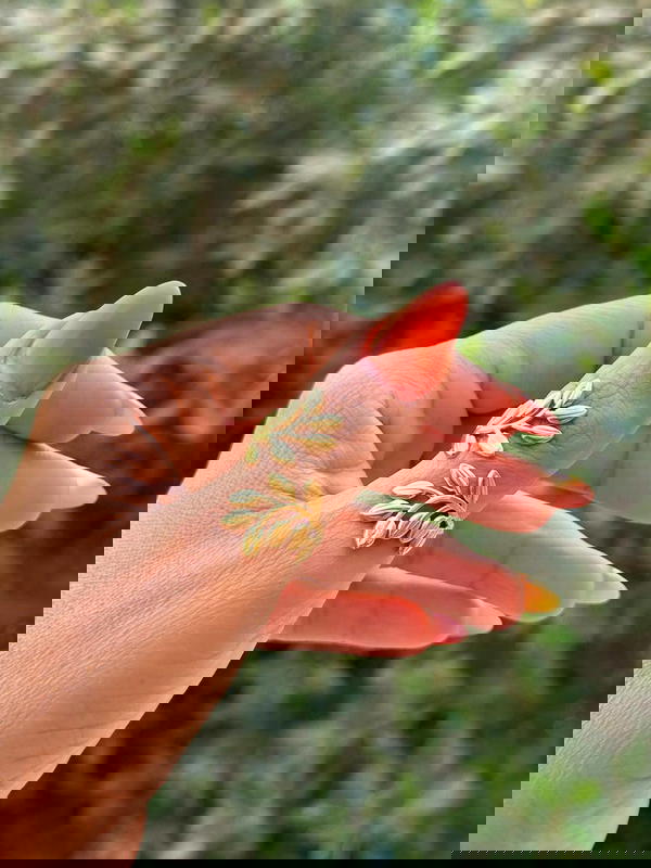 خاتم فرى سايز Image 1 Preview