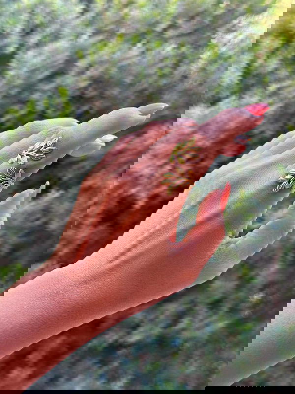 خاتم فرى سايز Image 2 Preview