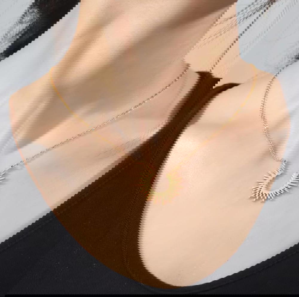 كولية نصف شمس  Preview Image