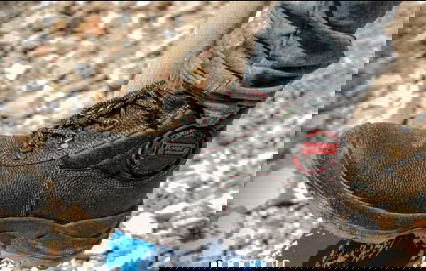 Panda S3 Mistral  Image 2 Preview