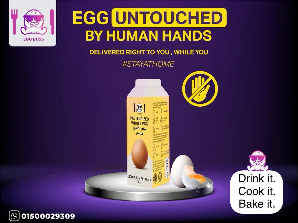 Pasteurized Whole Egg - بيض كامل مبتسر لتر Preview Image