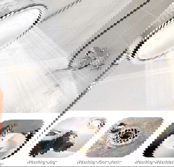 رأس دش مع فلتر لتنقية المياه  Image 2 Preview