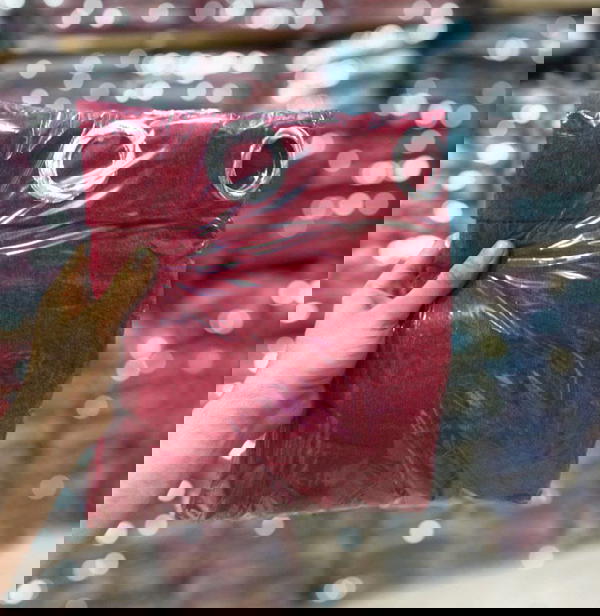 ستارة قطيفة فاخرة "شانليا Image 8 Preview