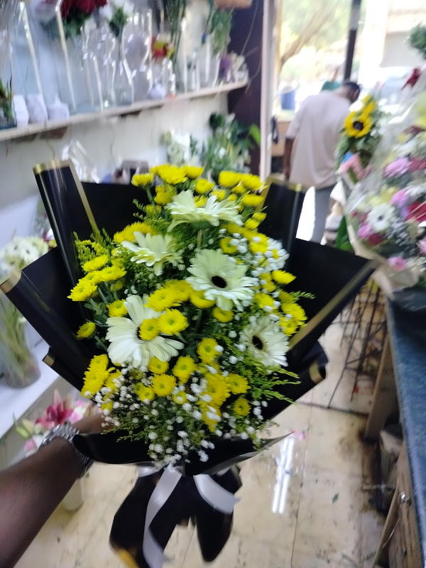 بنش  Image 1 Preview