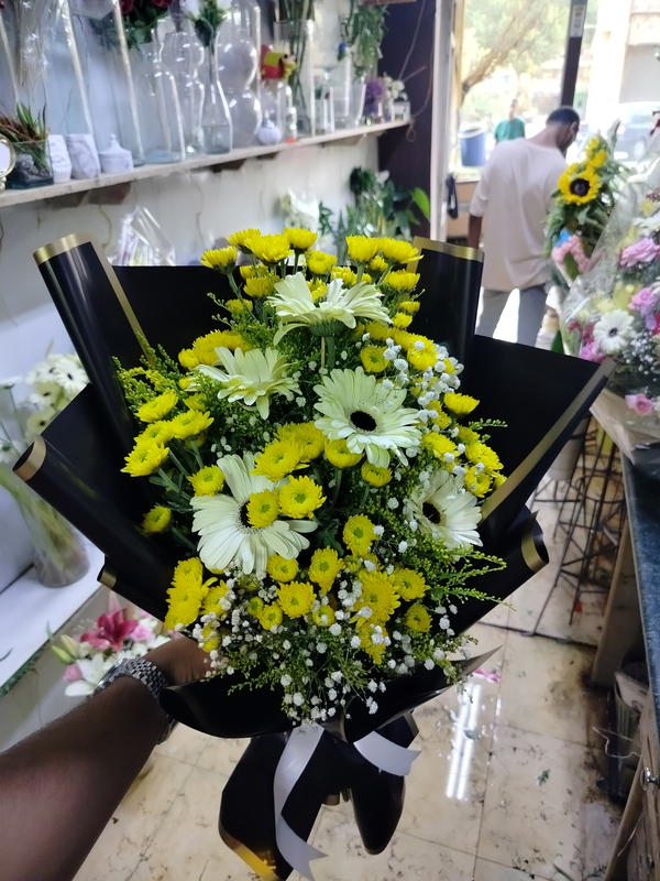بنش  Image 2 Preview