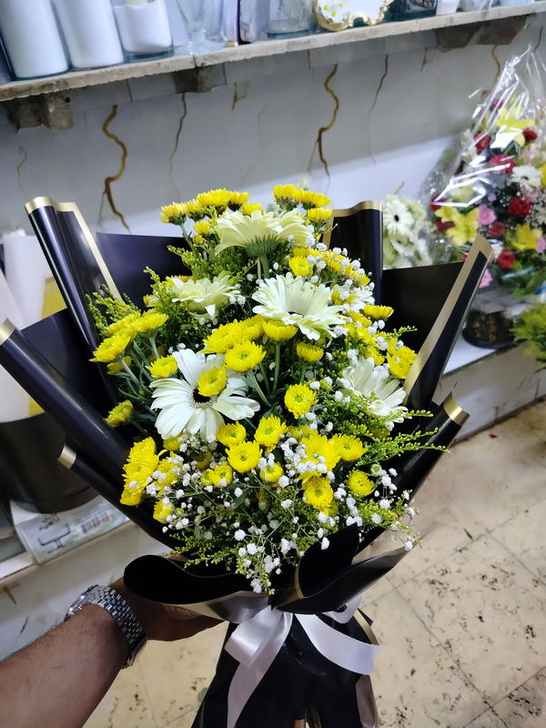بنش  Image 3 Preview