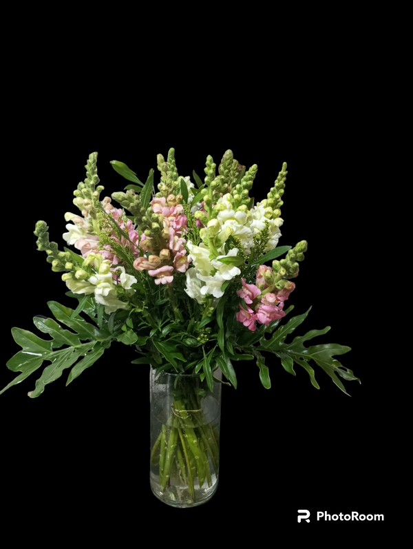 فازه الربيع  Image 1 Preview