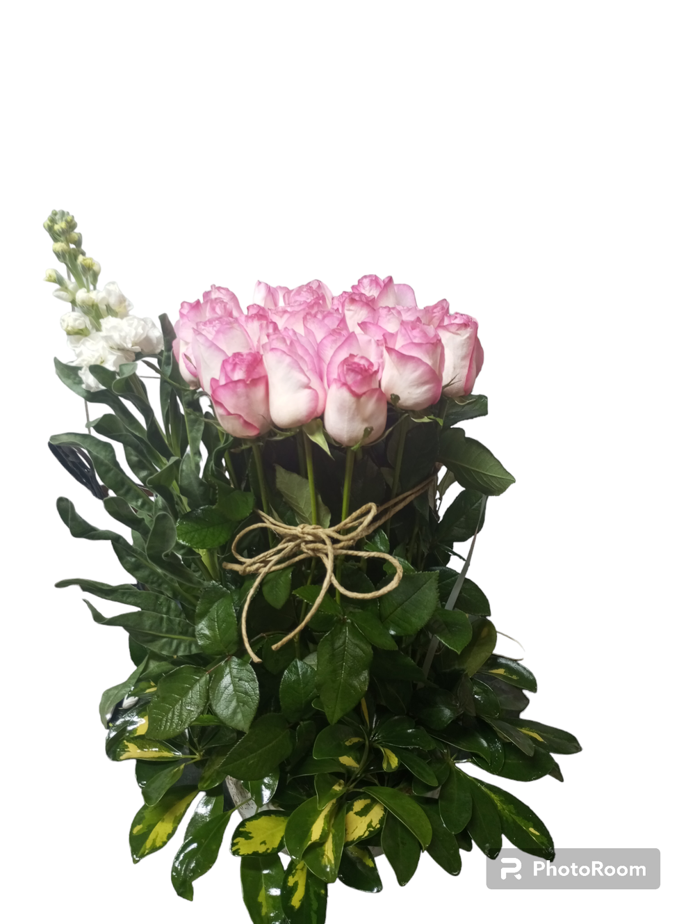 صندوق روز Preview Image