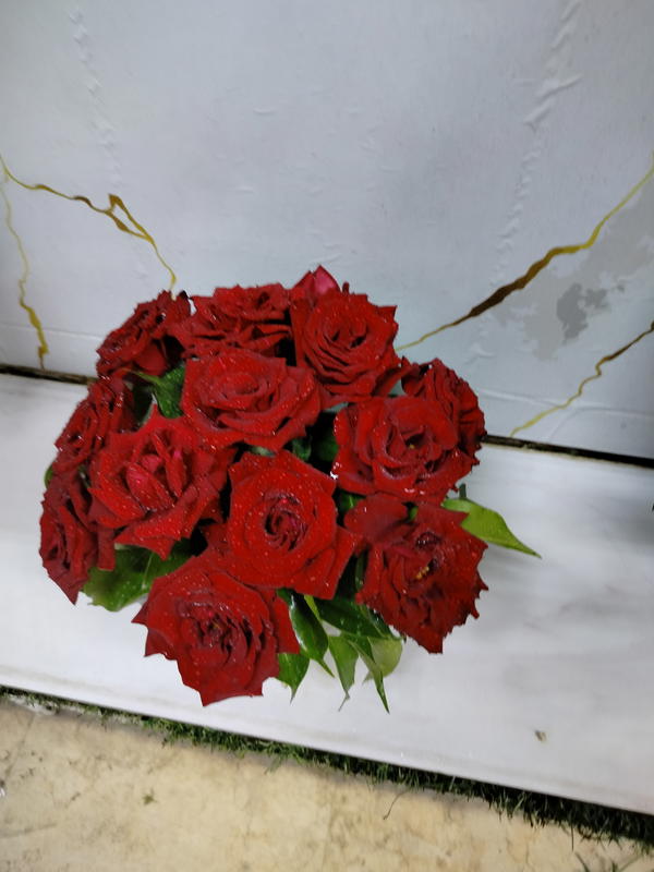سنتربيز  Image 3 Preview