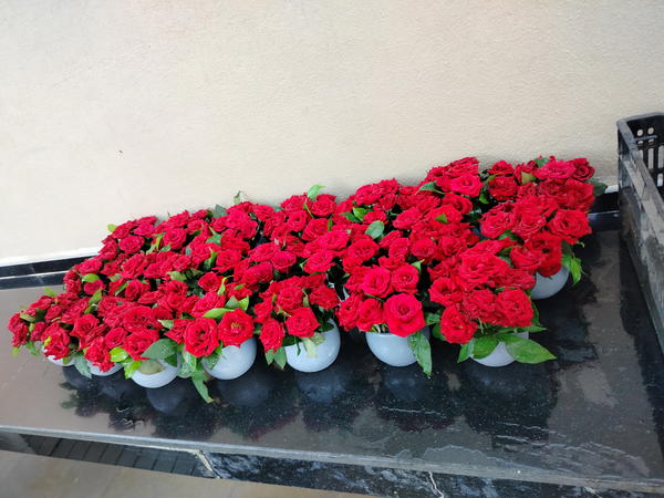 سنتربيز  Image 5 Preview