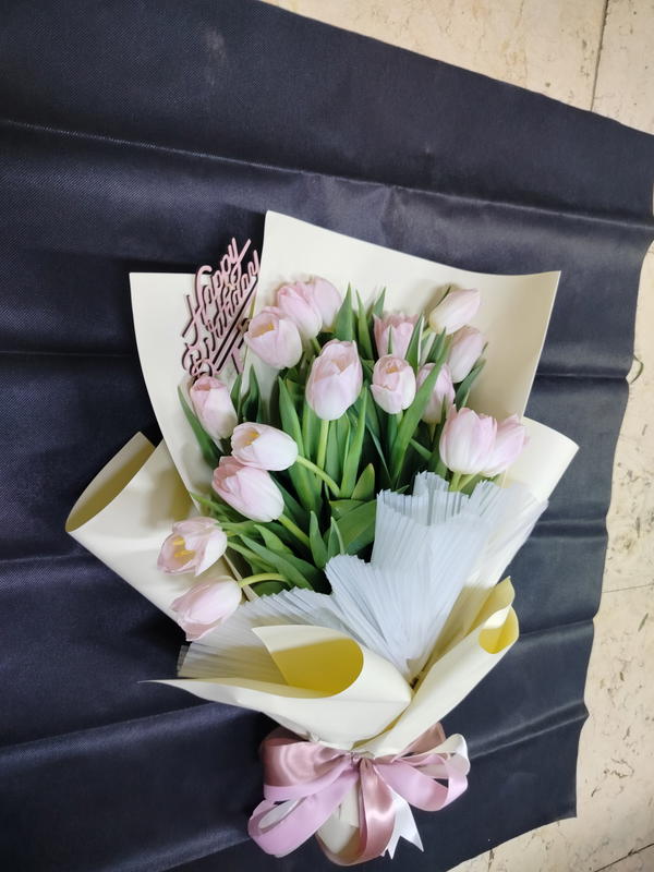 توليب  Image 1 Preview
