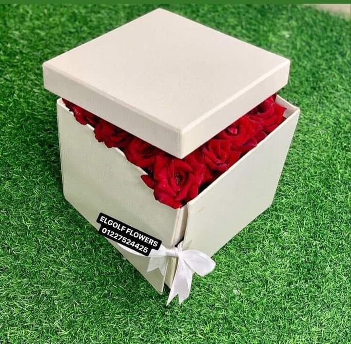 Gift box Preview Image