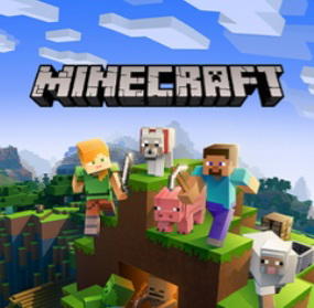 3500 coins Minecraft  Preview Image